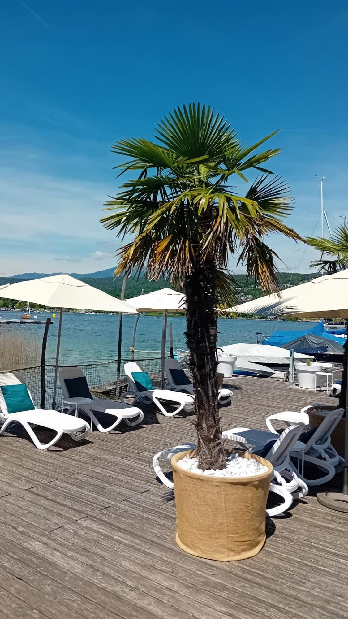 Tennis & Yacht Hotel Velden Фельден-ам-Вёртер-Зе Экстерьер фото